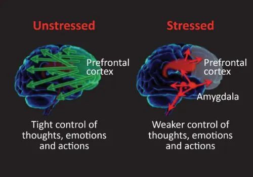 Neurofeedback Training for Burnout 2 Neurofeedback Training for Burnout